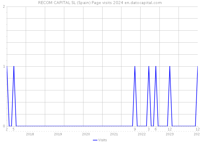 RECOM CAPITAL SL (Spain) Page visits 2024 