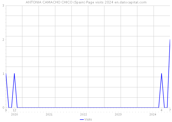 ANTONIA CAMACHO CHICO (Spain) Page visits 2024 