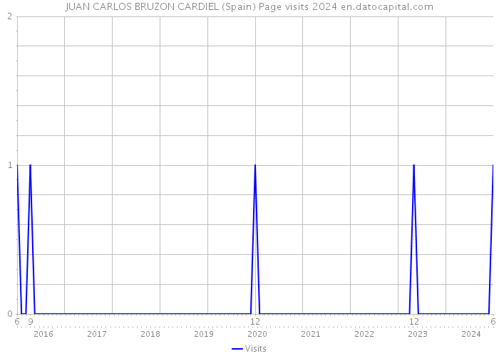 JUAN CARLOS BRUZON CARDIEL (Spain) Page visits 2024 