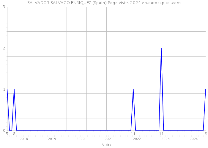 SALVADOR SALVAGO ENRIQUEZ (Spain) Page visits 2024 