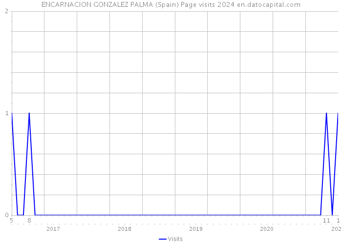 ENCARNACION GONZALEZ PALMA (Spain) Page visits 2024 