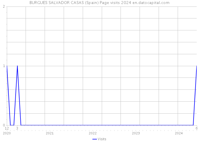 BURGUES SALVADOR CASAS (Spain) Page visits 2024 