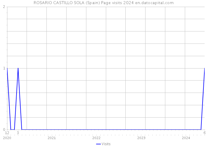 ROSARIO CASTILLO SOLA (Spain) Page visits 2024 