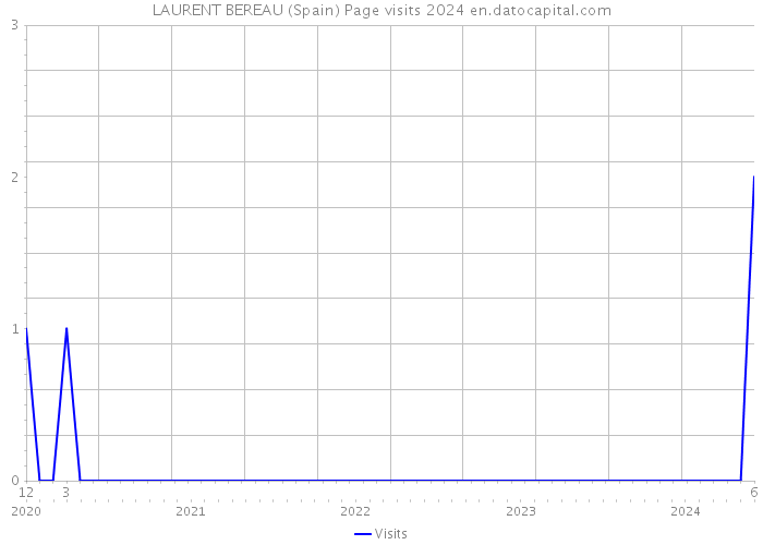 LAURENT BEREAU (Spain) Page visits 2024 