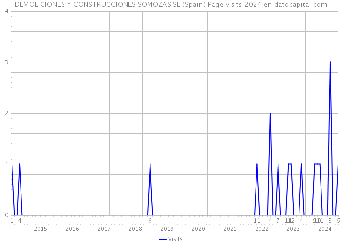 DEMOLICIONES Y CONSTRUCCIONES SOMOZAS SL (Spain) Page visits 2024 