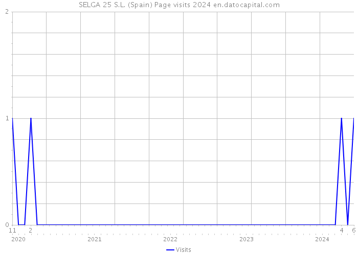 SELGA 25 S.L. (Spain) Page visits 2024 