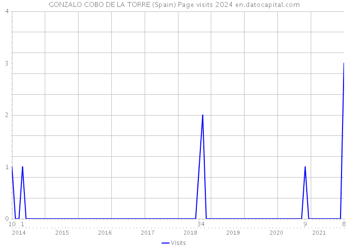 GONZALO COBO DE LA TORRE (Spain) Page visits 2024 