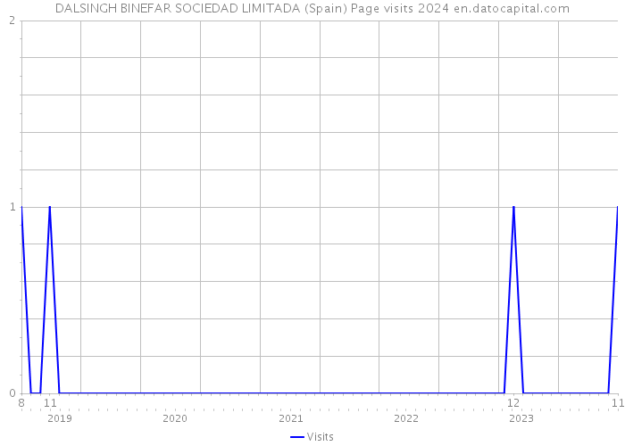 DALSINGH BINEFAR SOCIEDAD LIMITADA (Spain) Page visits 2024 