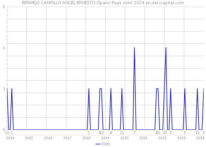 BERMEJO CAMPILLO ANGEL ERNESTO (Spain) Page visits 2024 