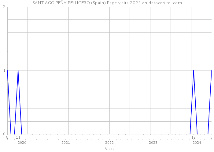 SANTIAGO PEÑA PELLICERO (Spain) Page visits 2024 