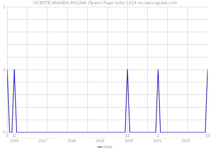 VICENTE ARANDA MOLINA (Spain) Page visits 2024 