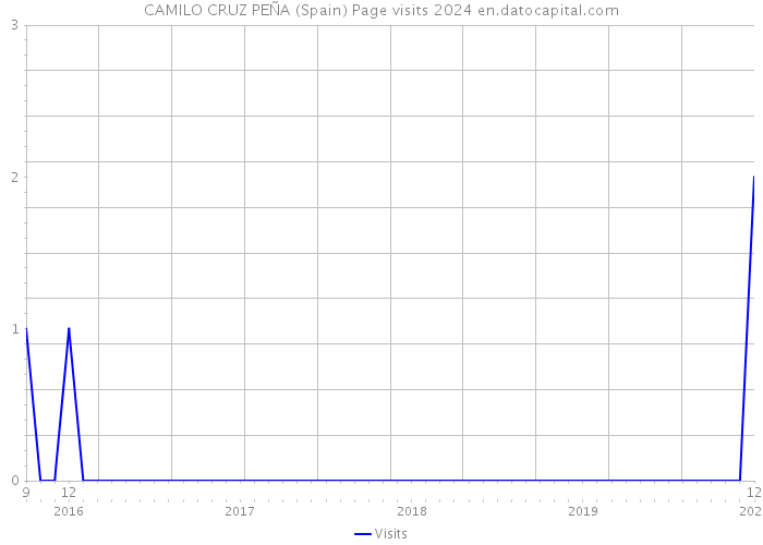 CAMILO CRUZ PEÑA (Spain) Page visits 2024 