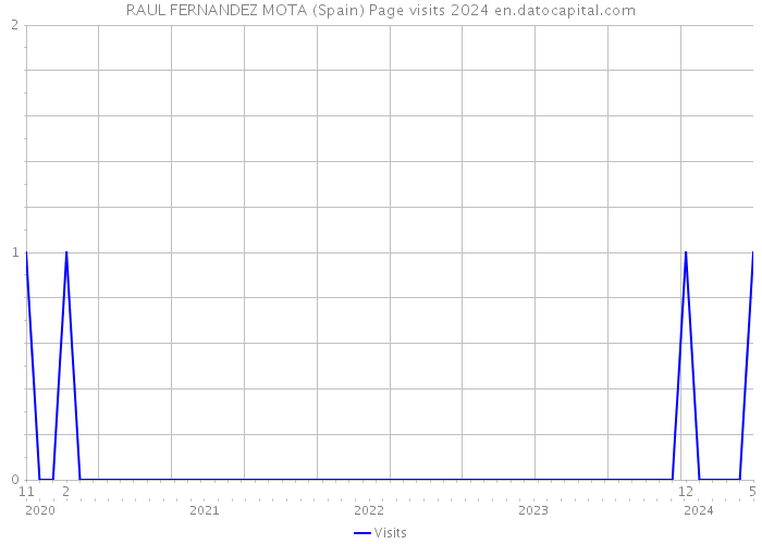 RAUL FERNANDEZ MOTA (Spain) Page visits 2024 