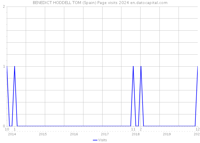BENEDICT HODDELL TOM (Spain) Page visits 2024 