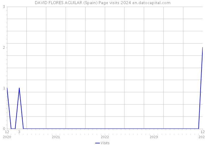 DAVID FLORES AGUILAR (Spain) Page visits 2024 