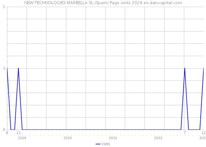 NEW TECHNOLOGIES MARBELLA SL (Spain) Page visits 2024 