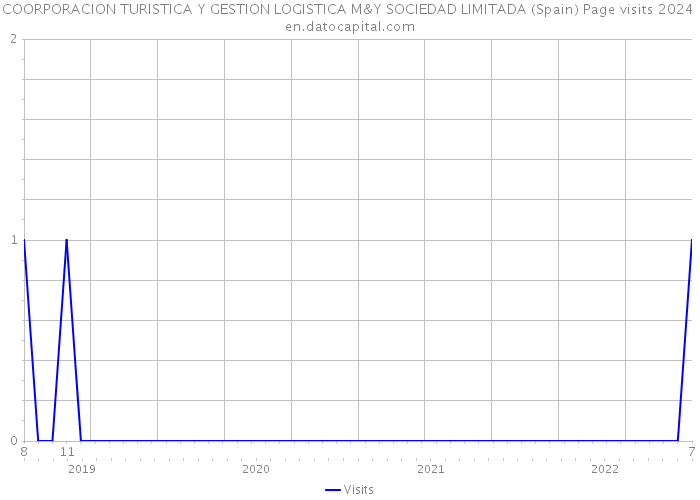 COORPORACION TURISTICA Y GESTION LOGISTICA M&Y SOCIEDAD LIMITADA (Spain) Page visits 2024 