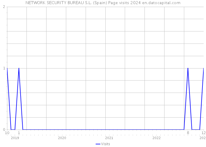 NETWORK SECURITY BUREAU S.L. (Spain) Page visits 2024 