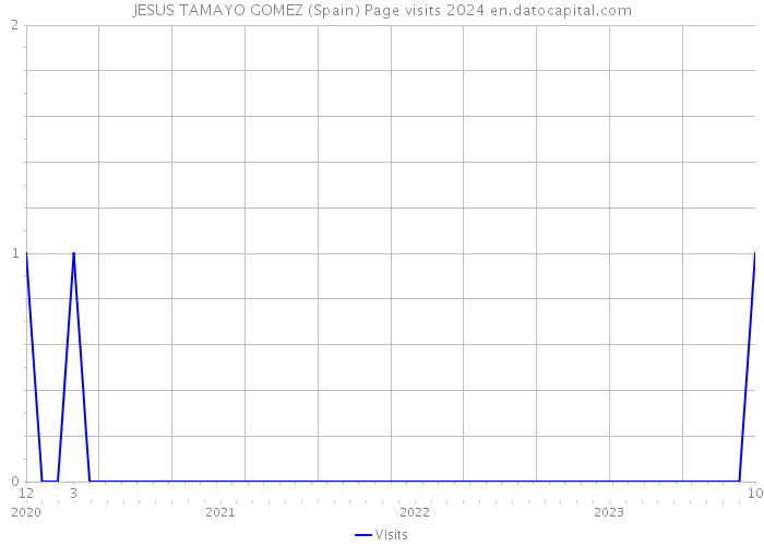 JESUS TAMAYO GOMEZ (Spain) Page visits 2024 