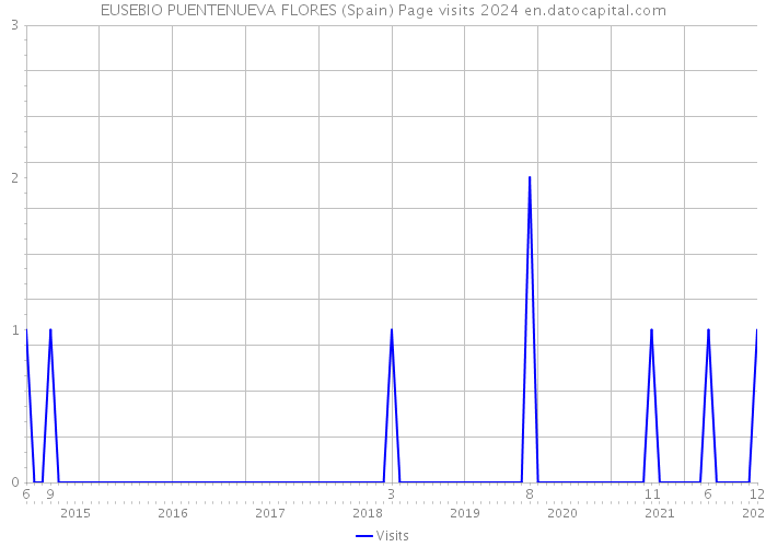 EUSEBIO PUENTENUEVA FLORES (Spain) Page visits 2024 