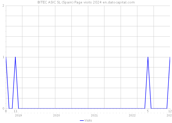 BITEC ASIC SL (Spain) Page visits 2024 