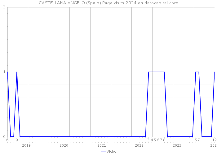 CASTELLANA ANGELO (Spain) Page visits 2024 