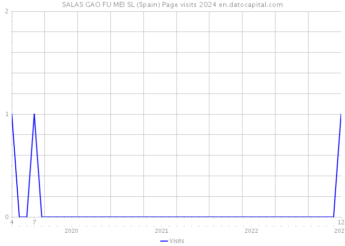 SALAS GAO FU MEI SL (Spain) Page visits 2024 