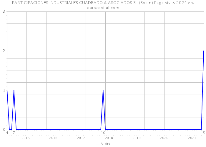 PARTICIPACIONES INDUSTRIALES CUADRADO & ASOCIADOS SL (Spain) Page visits 2024 