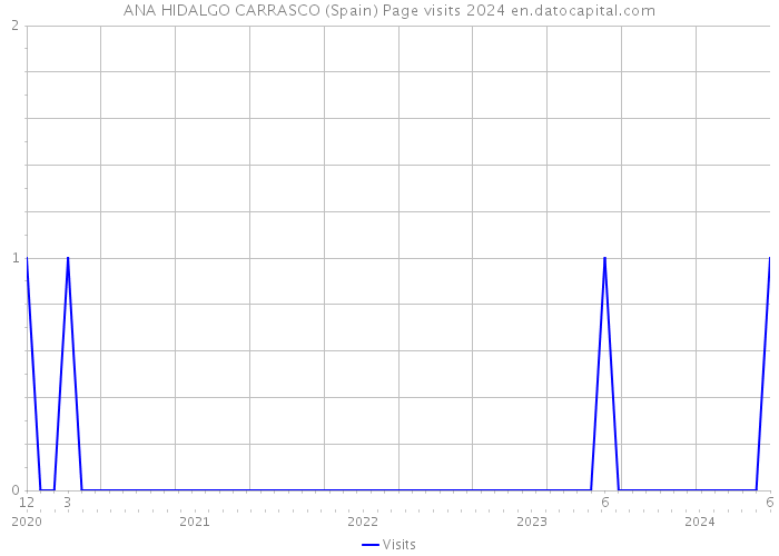 ANA HIDALGO CARRASCO (Spain) Page visits 2024 