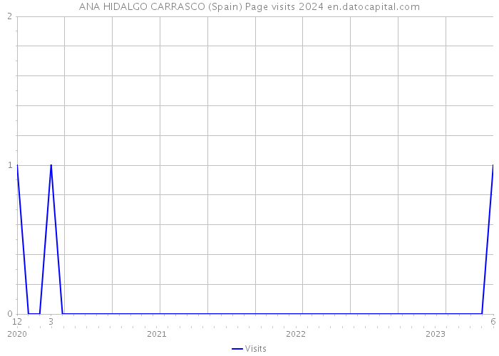 ANA HIDALGO CARRASCO (Spain) Page visits 2024 