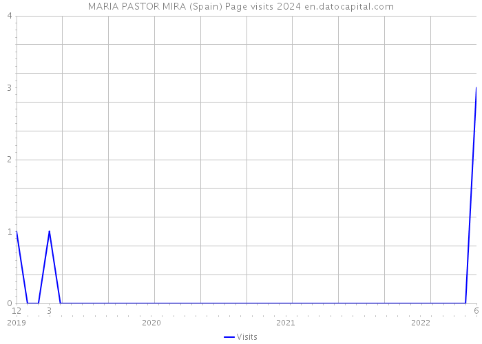 MARIA PASTOR MIRA (Spain) Page visits 2024 