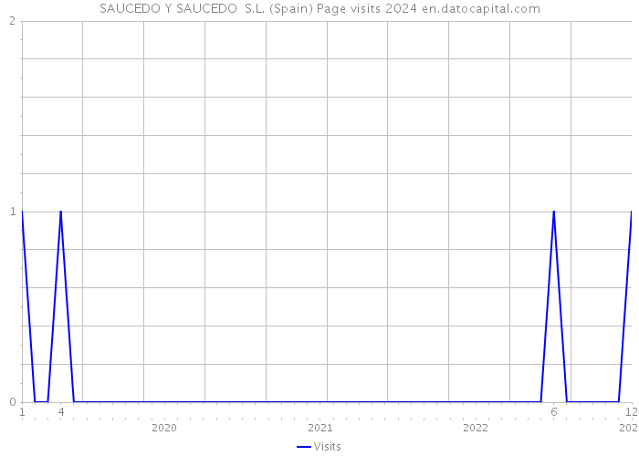 SAUCEDO Y SAUCEDO S.L. (Spain) Page visits 2024 