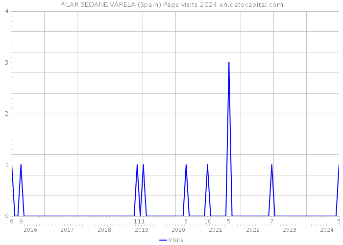 PILAR SEOANE VARELA (Spain) Page visits 2024 