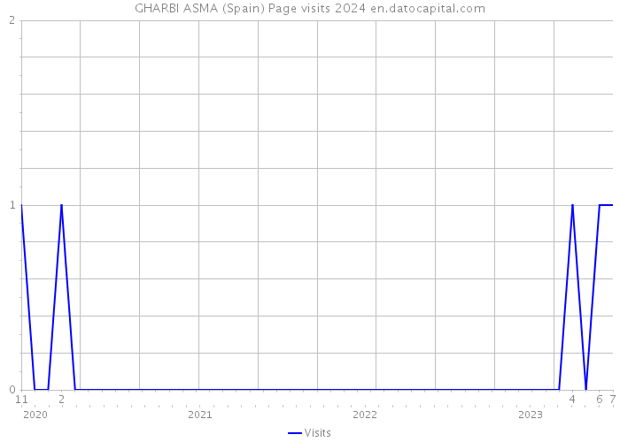 GHARBI ASMA (Spain) Page visits 2024 