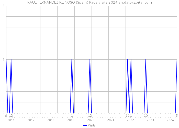 RAUL FERNANDEZ REINOSO (Spain) Page visits 2024 
