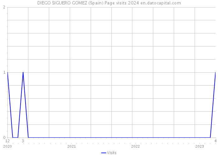 DIEGO SIGUERO GOMEZ (Spain) Page visits 2024 