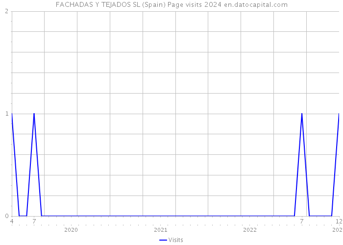 FACHADAS Y TEJADOS SL (Spain) Page visits 2024 