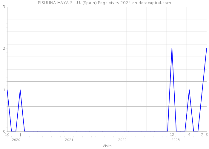 PISULINA HAYA S.L.U. (Spain) Page visits 2024 