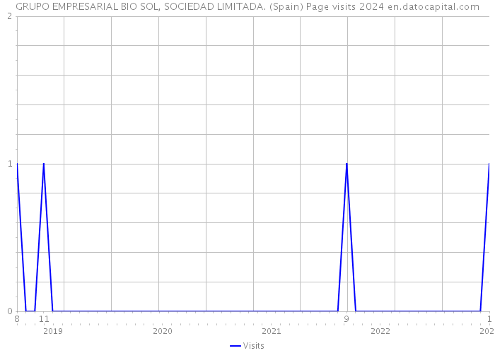 GRUPO EMPRESARIAL BIO SOL, SOCIEDAD LIMITADA. (Spain) Page visits 2024 