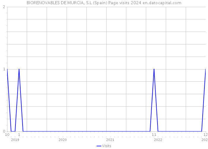 BIORENOVABLES DE MURCIA, S.L (Spain) Page visits 2024 