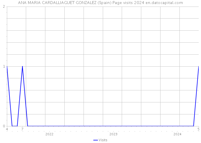 ANA MARIA CARDALLIAGUET GONZALEZ (Spain) Page visits 2024 