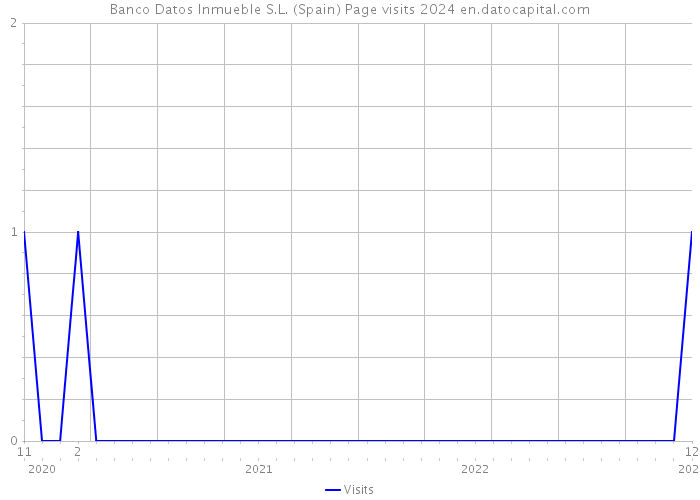 Banco Datos Inmueble S.L. (Spain) Page visits 2024 