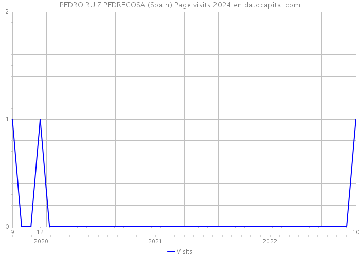 PEDRO RUIZ PEDREGOSA (Spain) Page visits 2024 