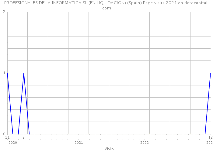 PROFESIONALES DE LA INFORMATICA SL (EN LIQUIDACION) (Spain) Page visits 2024 