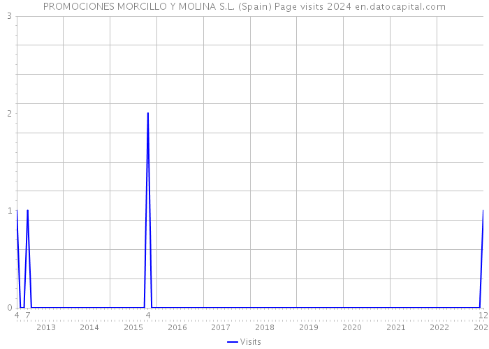 PROMOCIONES MORCILLO Y MOLINA S.L. (Spain) Page visits 2024 