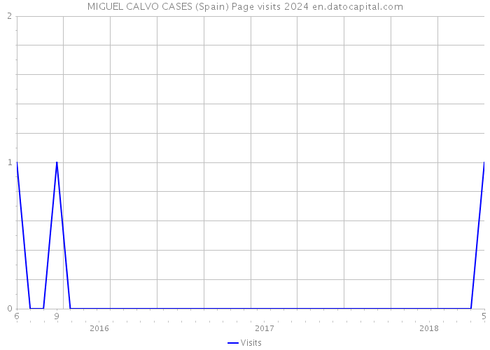 MIGUEL CALVO CASES (Spain) Page visits 2024 