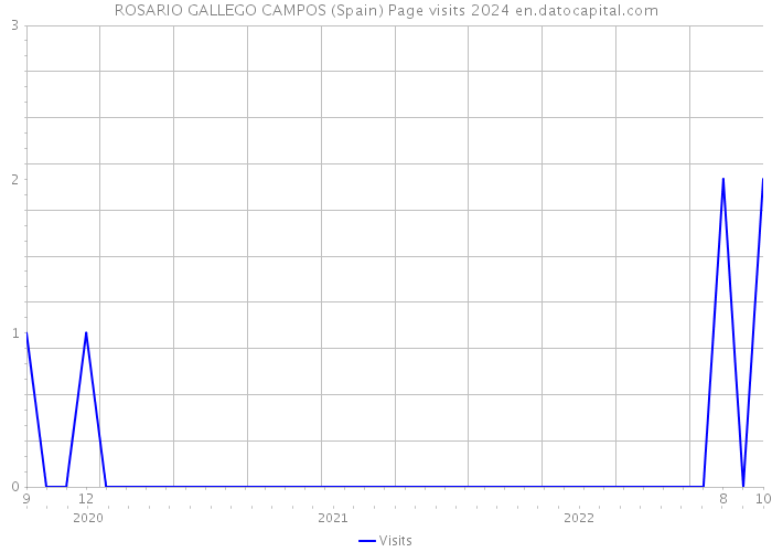 ROSARIO GALLEGO CAMPOS (Spain) Page visits 2024 