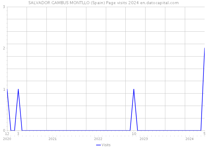SALVADOR GAMBUS MONTLLO (Spain) Page visits 2024 