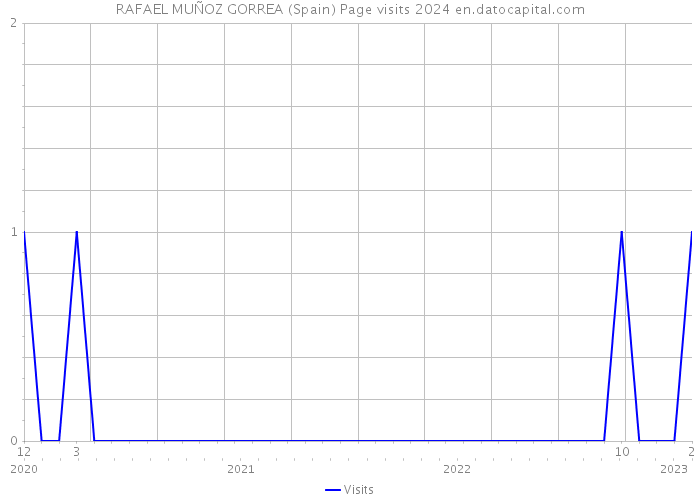 RAFAEL MUÑOZ GORREA (Spain) Page visits 2024 
