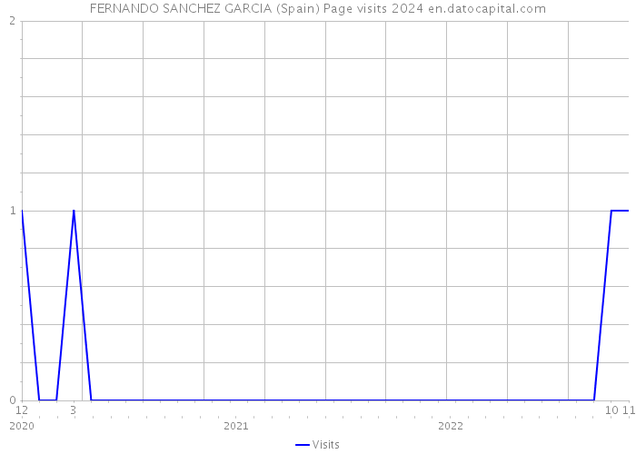 FERNANDO SANCHEZ GARCIA (Spain) Page visits 2024 